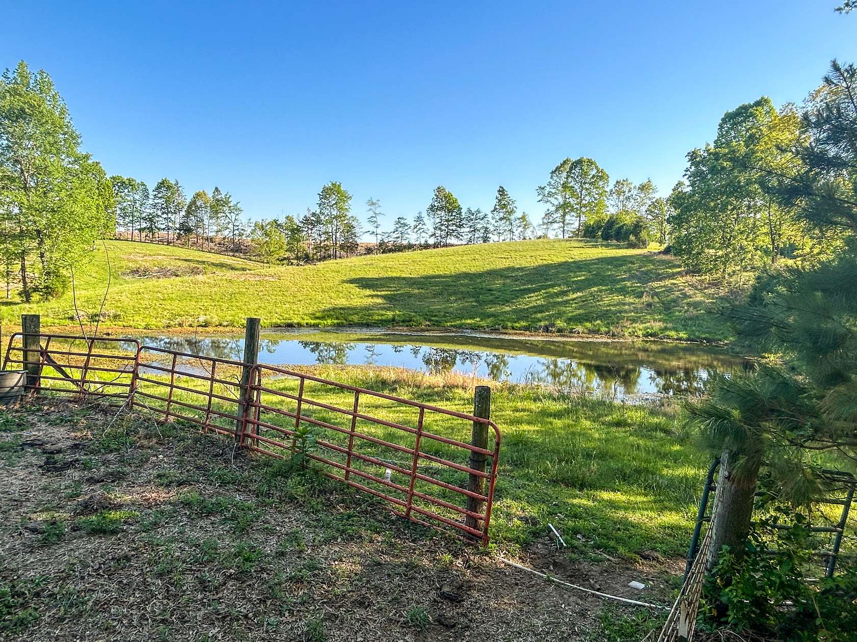 40 Acres of Land for Sale in McKenzie, Tennessee