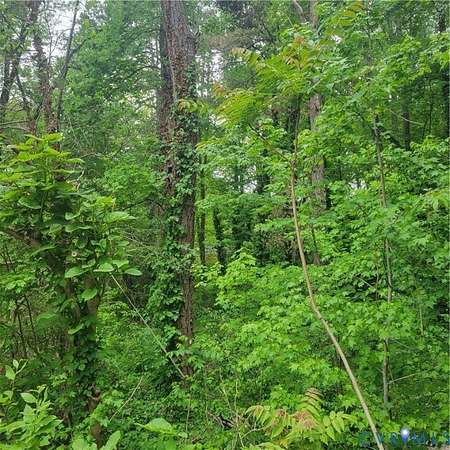 1 Acre of Residential Land for Sale in Chesterfield, Virginia