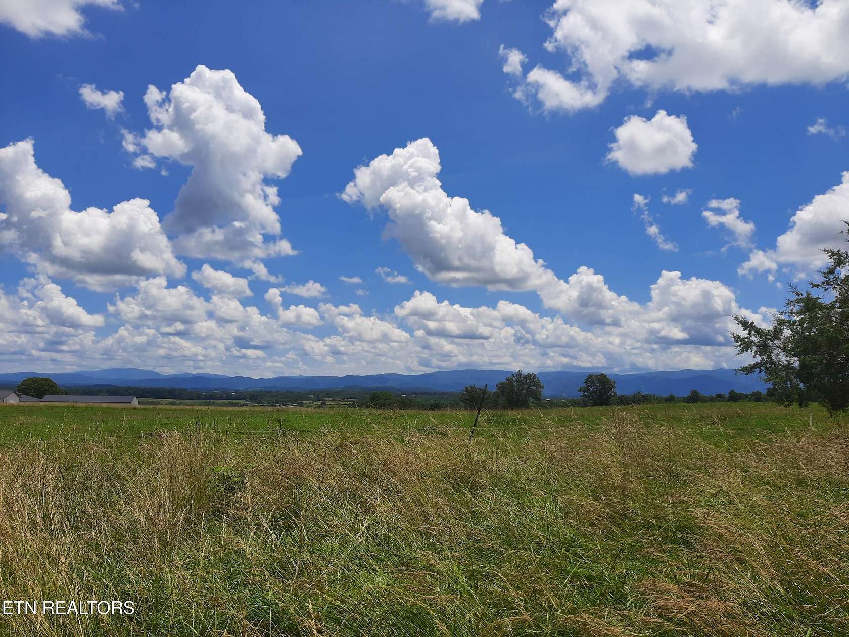 19.7 Acres of Land for Sale in Limestone, Tennessee