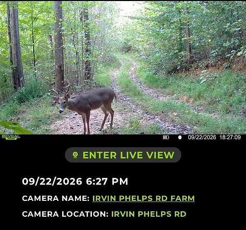 16.7 Acres of Land for Sale in Somerset, Kentucky