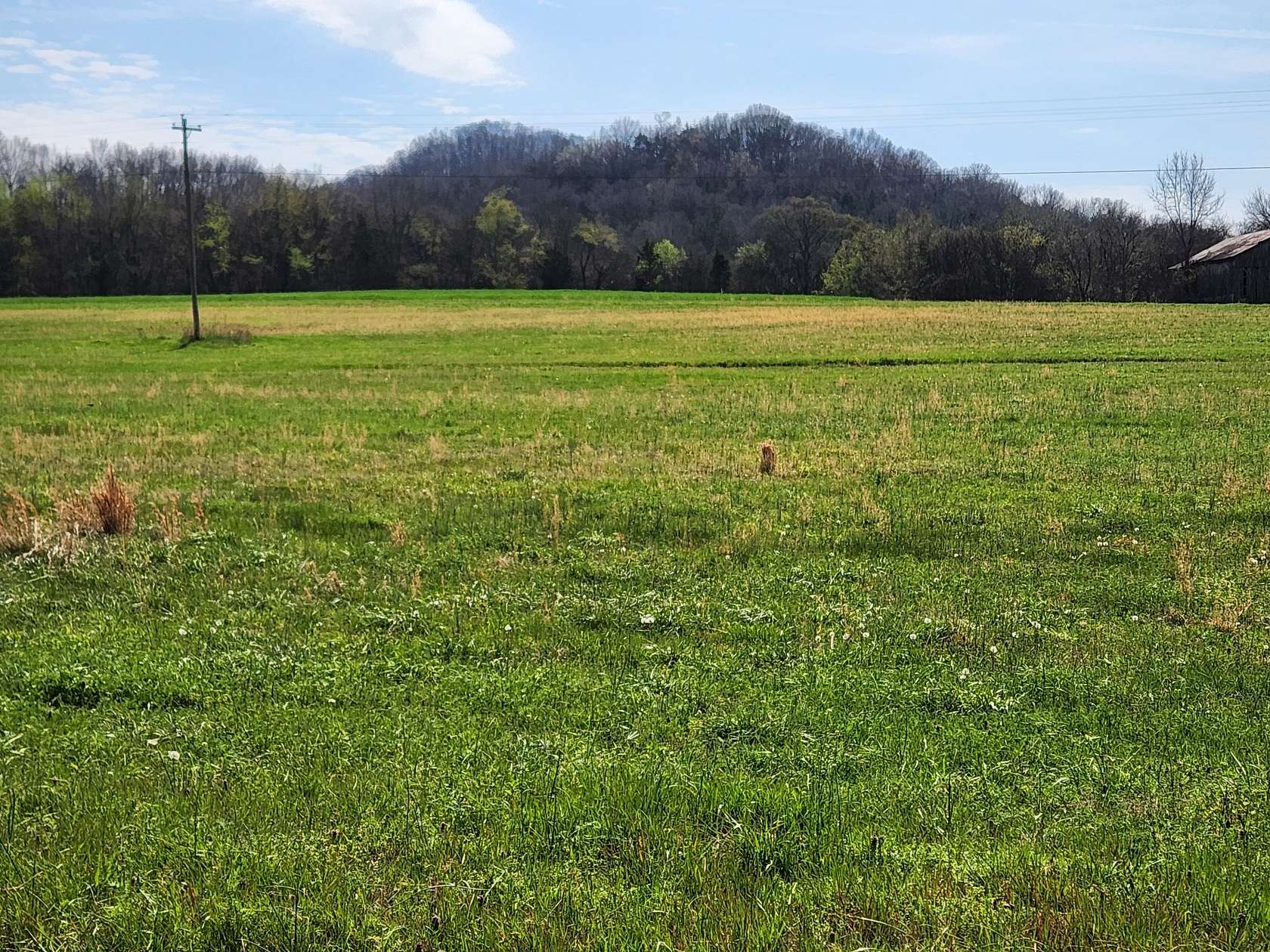 66.8 Acres of Land for Sale in Bethpage, Tennessee