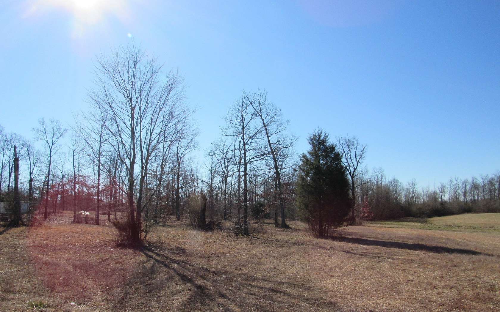 5.84 Acres of Residential Land for Sale in Bell Buckle, Tennessee