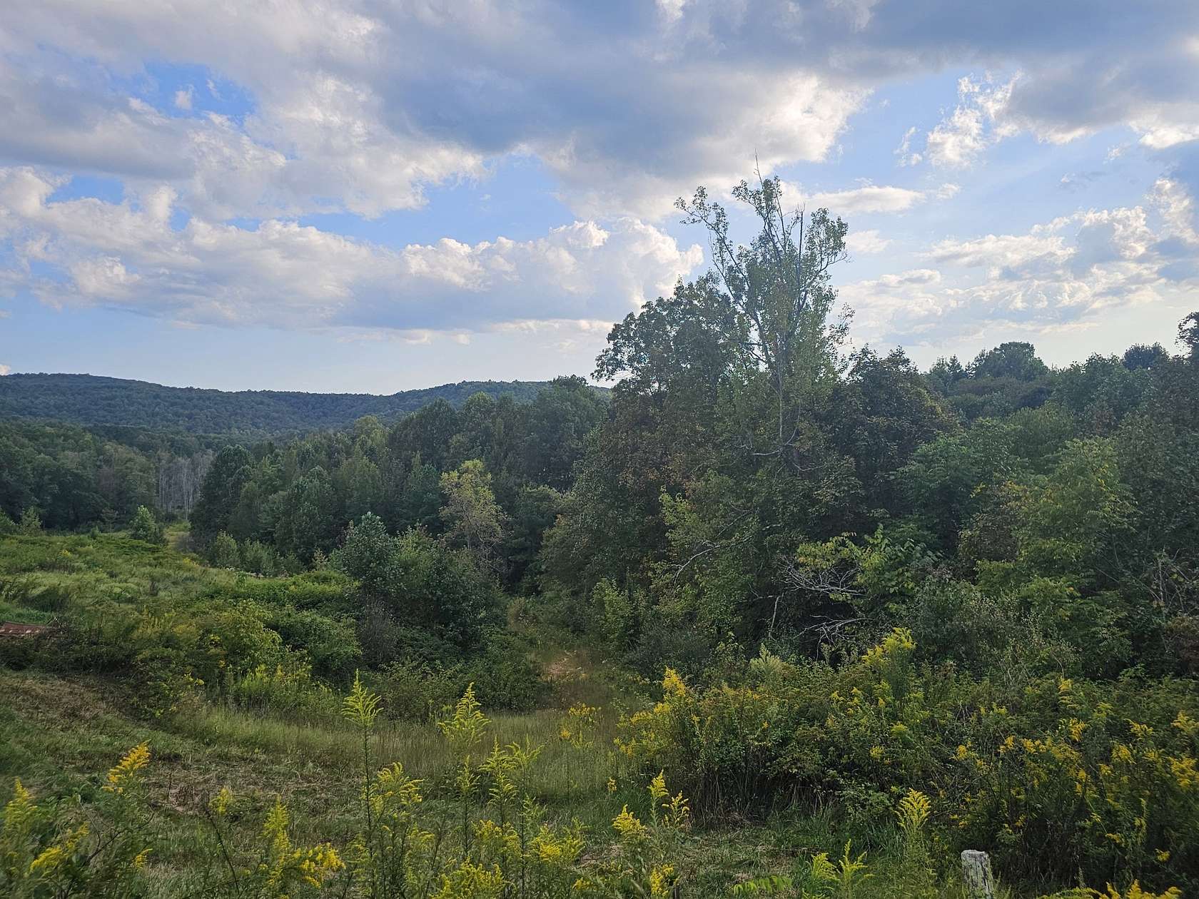 6.18 Acres of Land for Sale in Palmer, Tennessee