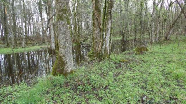 20.3 Acres of Land for Sale in Moss, Tennessee