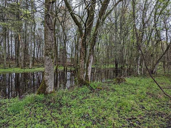 20.3 Acres of Recreational & Residential Land for Sale in Moss, Tennessee