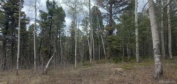6 Acres of Residential Land for Sale in San Luis, Colorado