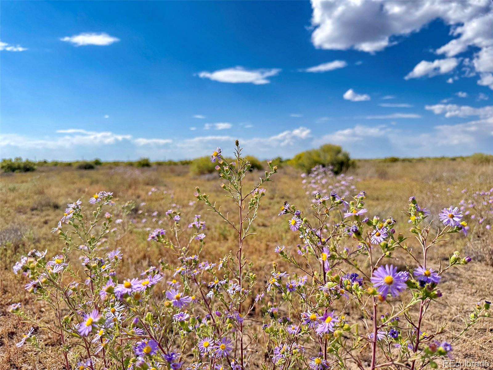 6.28 Acres of Land for Sale in Mosca, Colorado