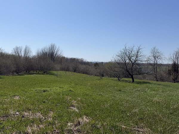 8 Acres of Residential Land for Sale in Custer, Michigan