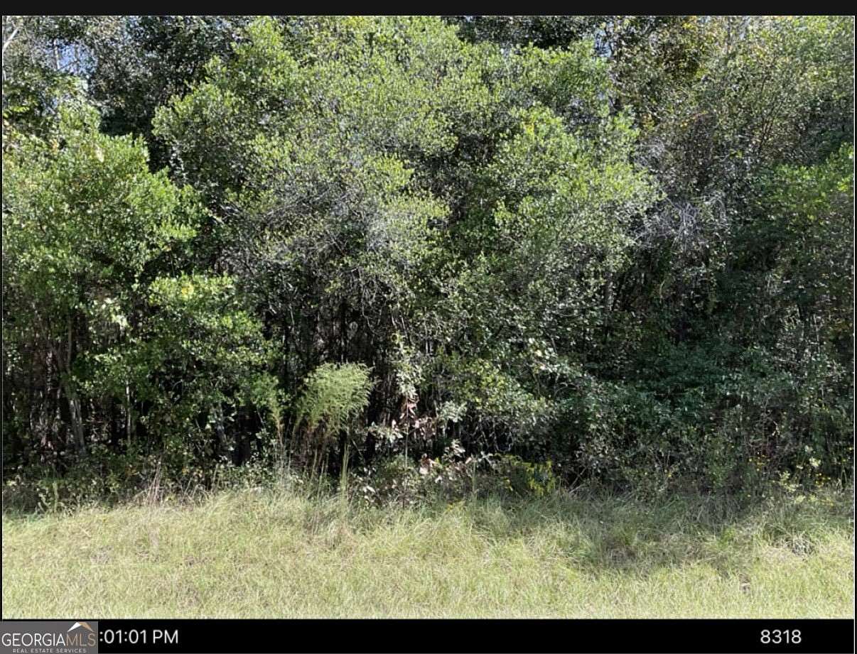 8.86 Acres of Residential Land for Sale in Toomsboro, Georgia