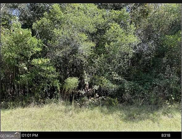 8.86 Acres of Residential Land for Sale in Toomsboro, Georgia