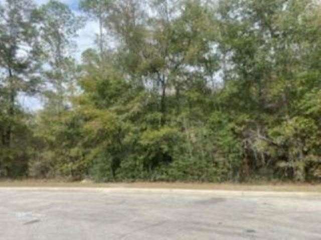 2.72 Acres of Commercial Land for Sale in Crawfordville, Florida