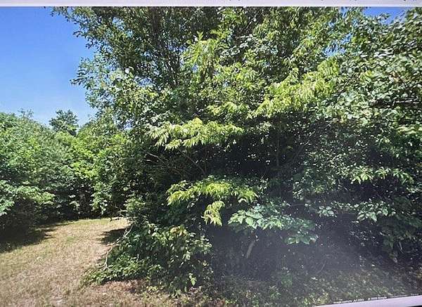 0.11 Acres of Residential Land for Sale in Blytheville, Arkansas