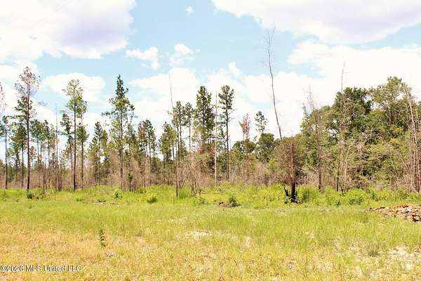 3.78 Acres of Residential Land for Sale in Lucedale, Mississippi