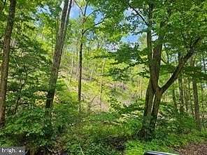 138 Acres of Recreational & Residential Land for Sale in Hyndman, Pennsylvania