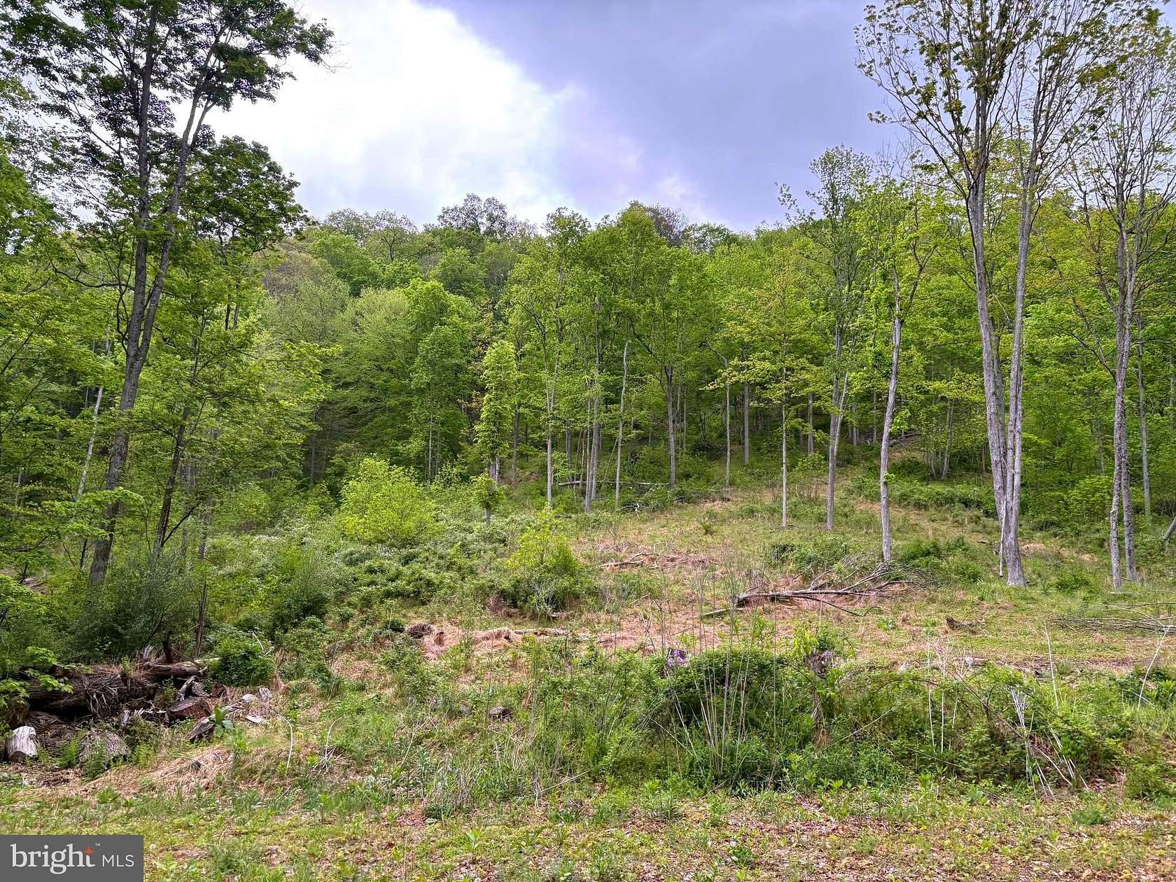 138 Acres of Recreational & Residential Land for Sale in Hyndman, Pennsylvania