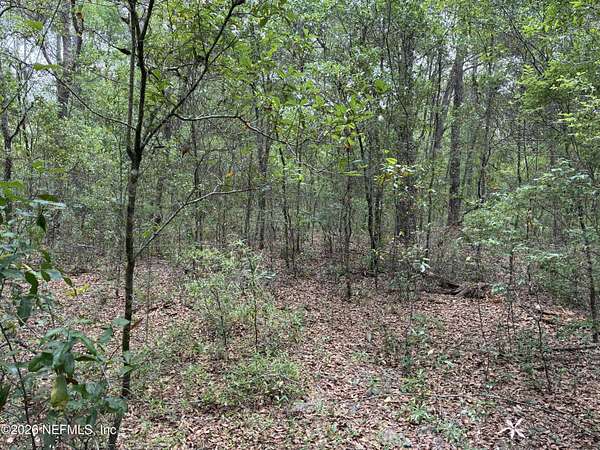 0.22 Acres of Land for Sale in Interlachen, Florida