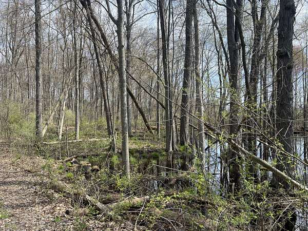 2.12 Acres of Residential Land for Sale in Grass Lake, Michigan