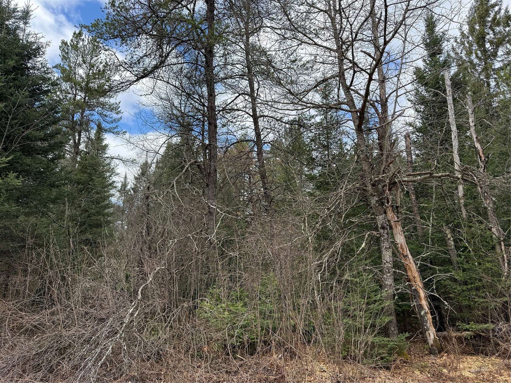0.65 Acres of Residential Land for Sale in Cable, Wisconsin