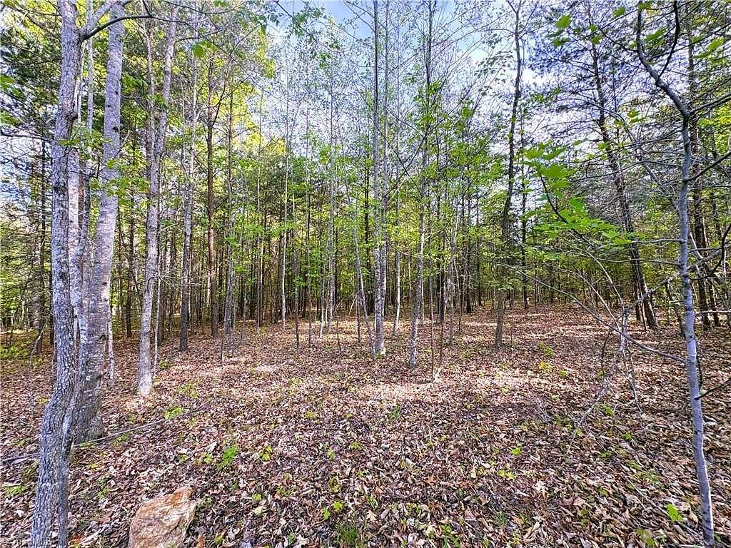 30.4 Acres of Recreational & Residential Land for Sale in Eden, North Carolina