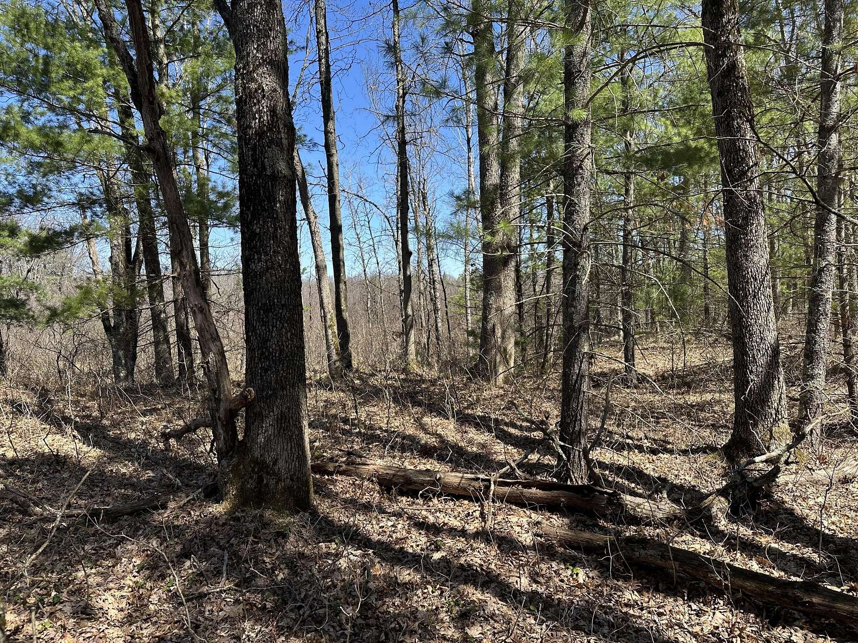 34 Acres of Recreational Land for Sale in Baldwin, Michigan