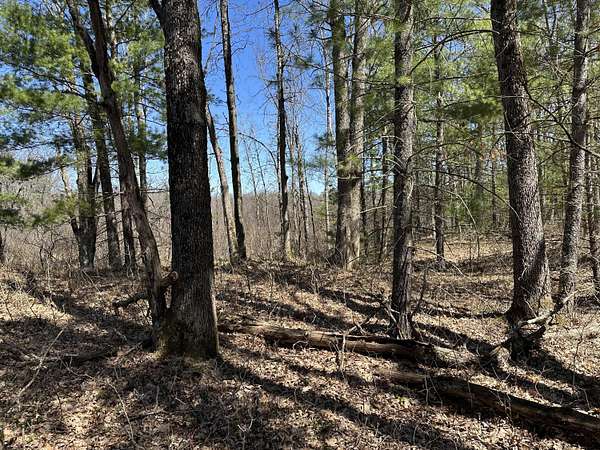 34 Acres of Recreational Land for Sale in Baldwin, Michigan