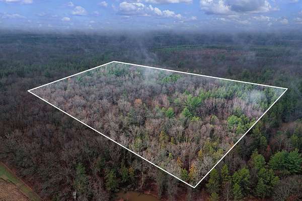 10 Acres of Recreational & Residential Land for Sale in Lyndon Station, Wisconsin