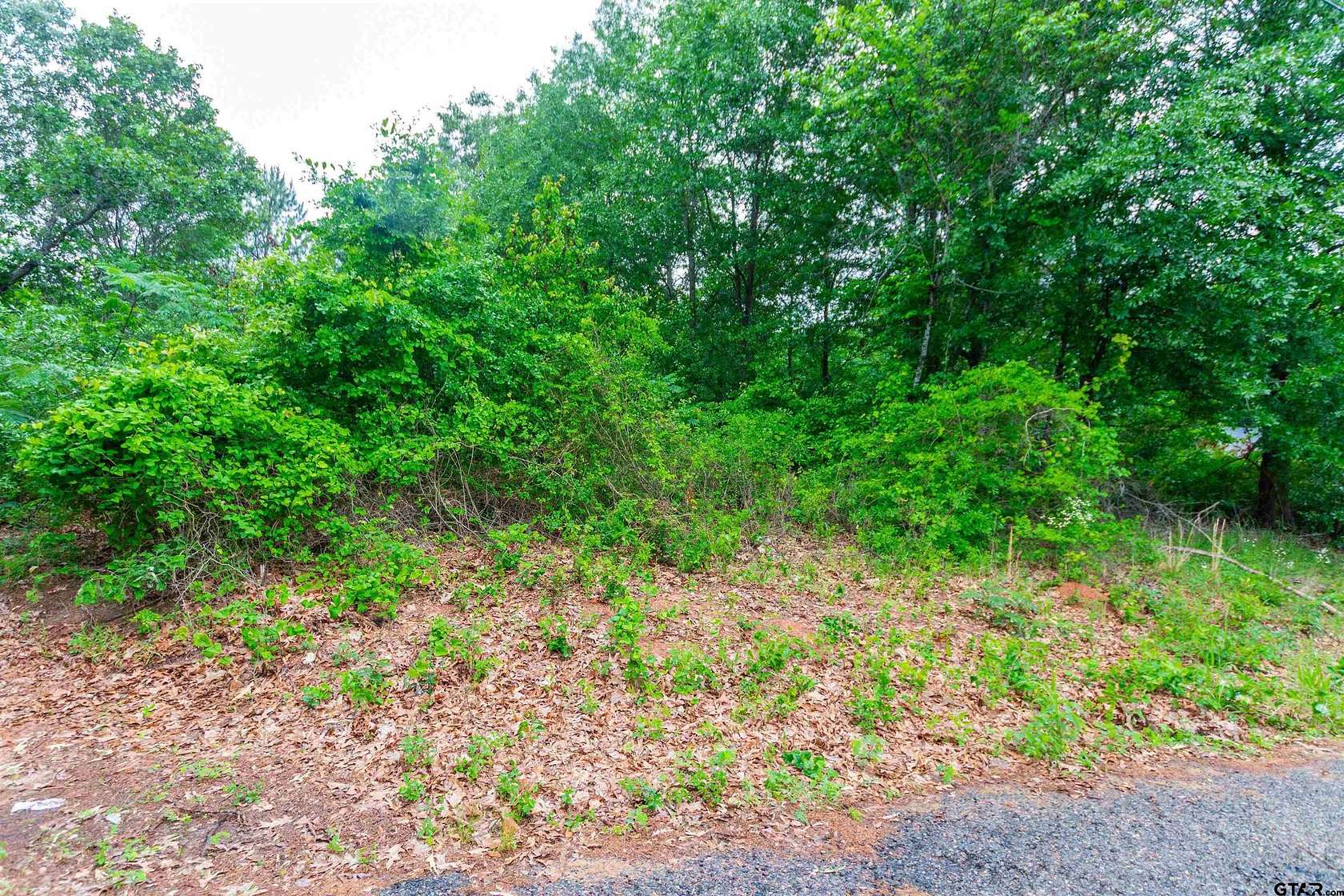 0.28 Acres of Residential Land for Sale in Tyler, Texas