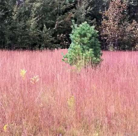 0.36 Acres of Residential Land for Sale in Oscoda, Michigan