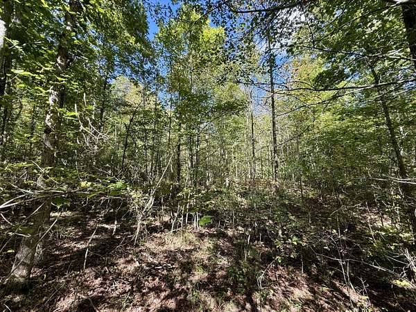 5 Acres of Land for Sale in Palmer, Tennessee