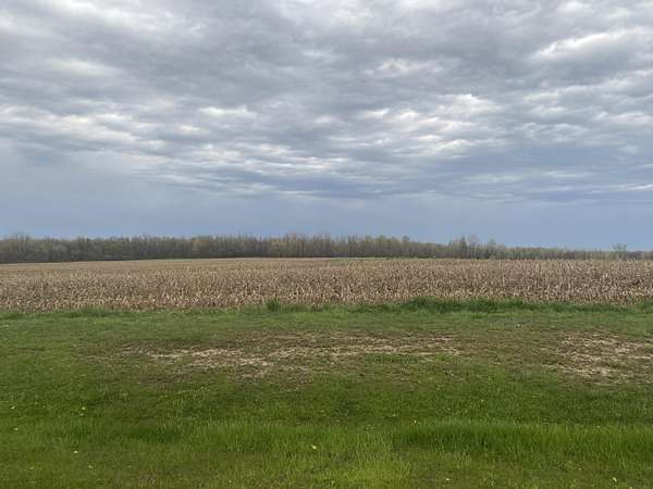 45 Acres of Land for Sale in Grand Junction, Michigan