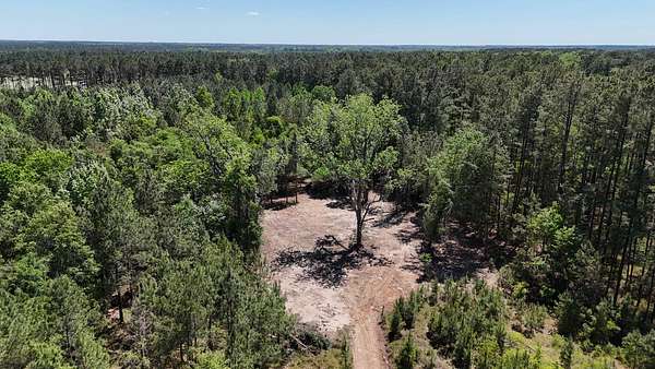 62 Acres of Land for Sale in Varnville, South Carolina