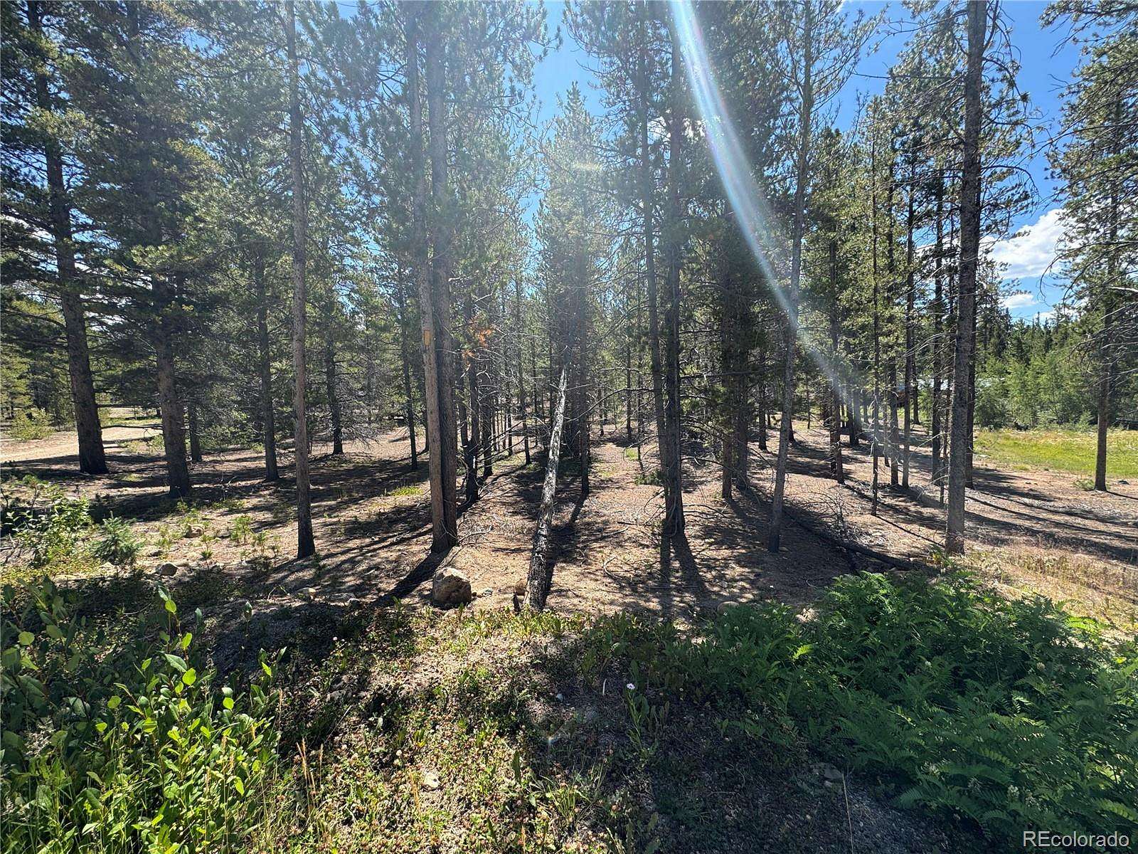 0.85 Acres of Residential Land for Sale in Leadville, Colorado