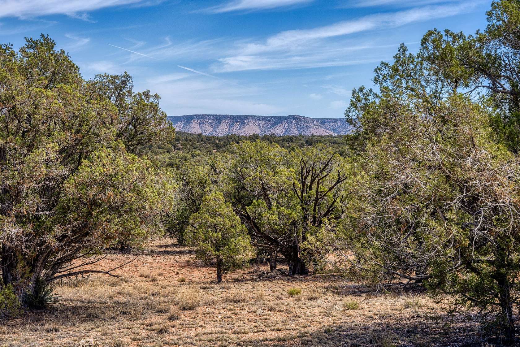 2 Acres of Residential Land for Sale in Seligman, Arizona