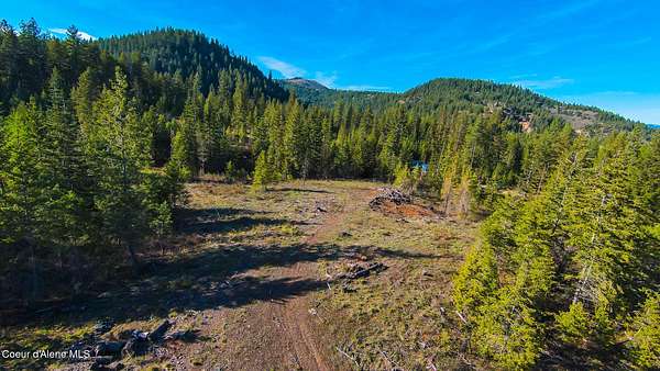 5 Acres of Residential Land for Sale in Priest River, Idaho
