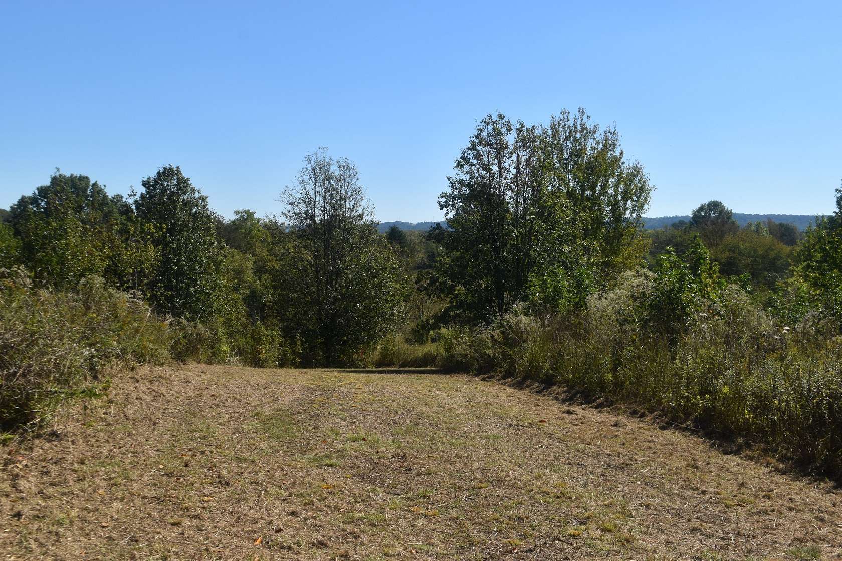 5.17 Acres of Residential Land for Sale in Lewisburg, Tennessee