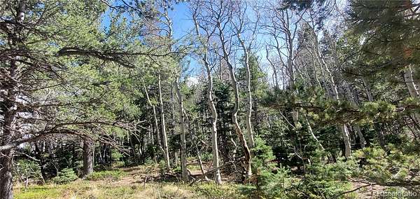 1.36 Acres of Residential Land for Sale in Fort Garland, Colorado