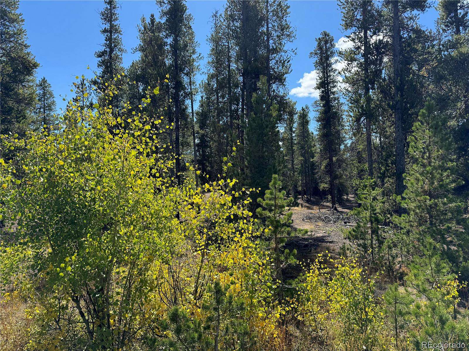 0.5 Acres of Residential Land for Sale in Leadville, Colorado