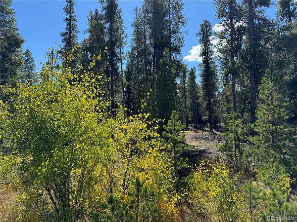 0.5 Acres of Residential Land for Sale in Leadville, Colorado