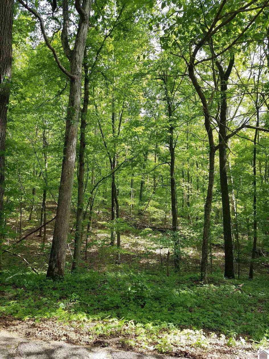 28 Acres of Land for Sale in Marion, Kentucky