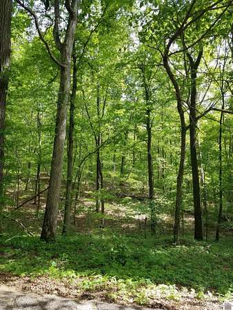 28 Acres of Recreational Land for Sale in Marion, Kentucky