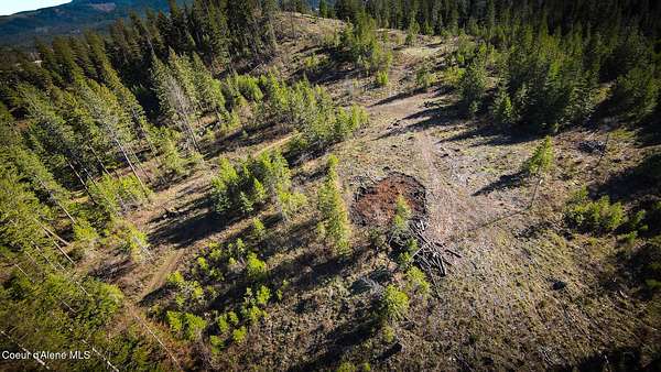 5 Acres of Residential Land for Sale in Priest River, Idaho
