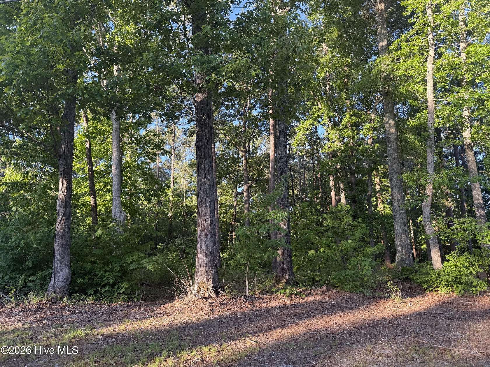 0.22 Acres of Land for Sale in Hertford, North Carolina