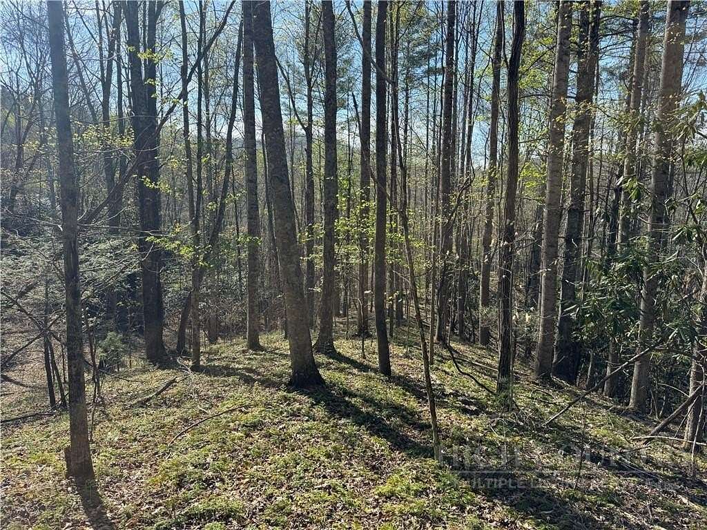 10 Acres of Land for Sale in Banner Elk, North Carolina
