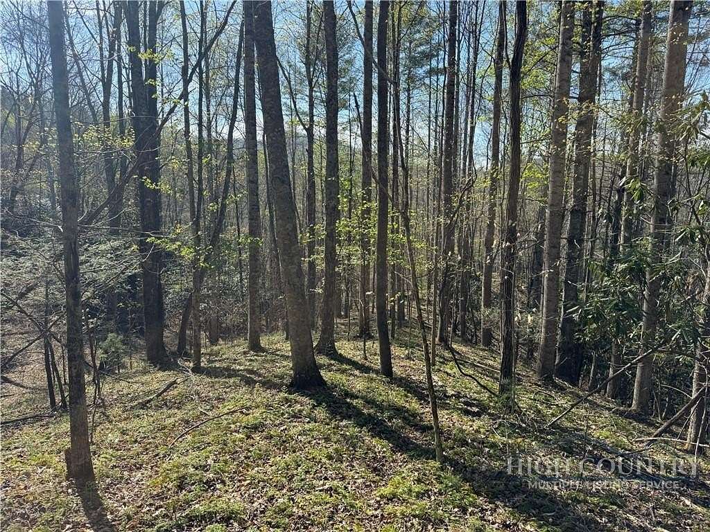10 Acres of Land for Sale in Banner Elk, North Carolina