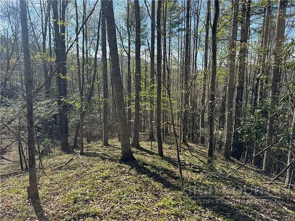 10 Acres of Land for Sale in Banner Elk, North Carolina