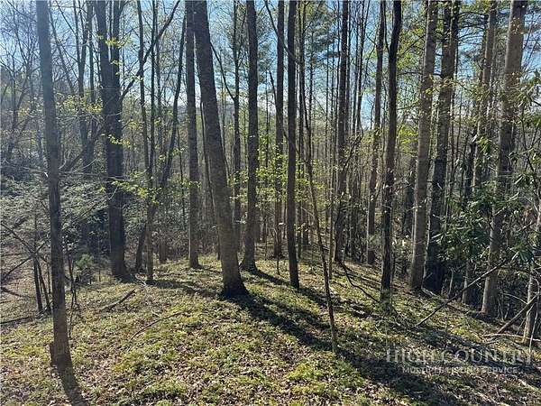 10 Acres of Land for Sale in Banner Elk, North Carolina