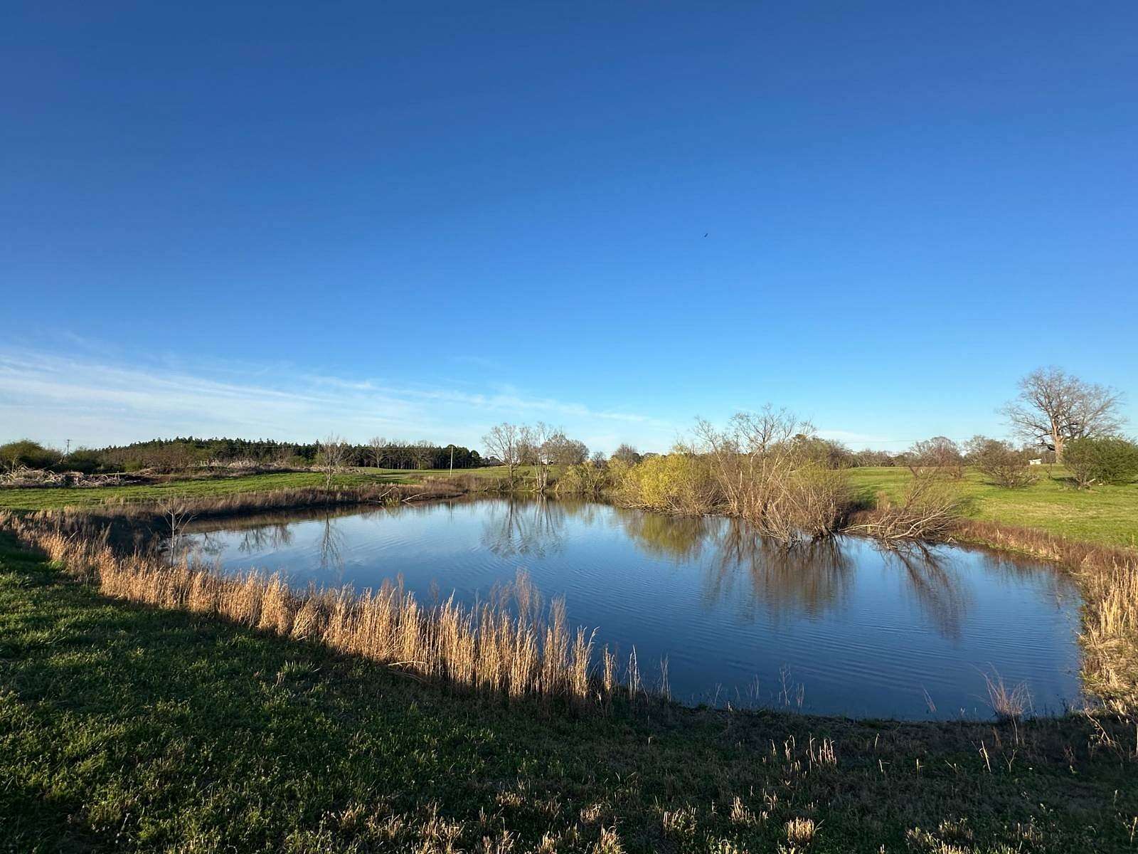 66 Acres of Agricultural & Residential Land for Sale in Billingsley, Alabama