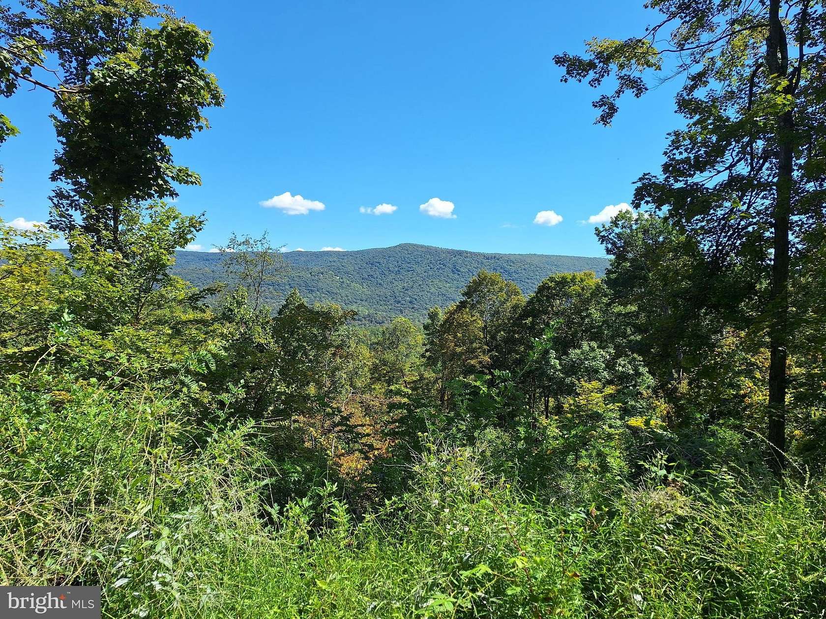 211 Acres of Recreational Land for Sale in Hyndman, Pennsylvania