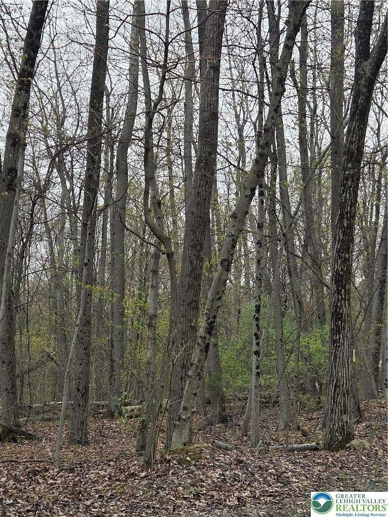 24.5 Acres of Recreational Land for Sale in Heidelberg Township, Pennsylvania