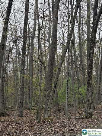 24.5 Acres of Recreational Land for Sale in Heidelberg Township, Pennsylvania